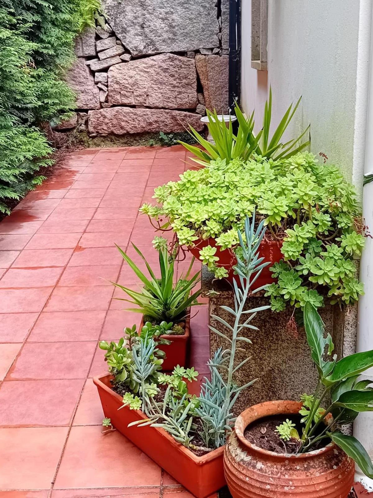 Vivienda Con Jardin Terraza Y Barbacoa Villa Picona Exterior photo